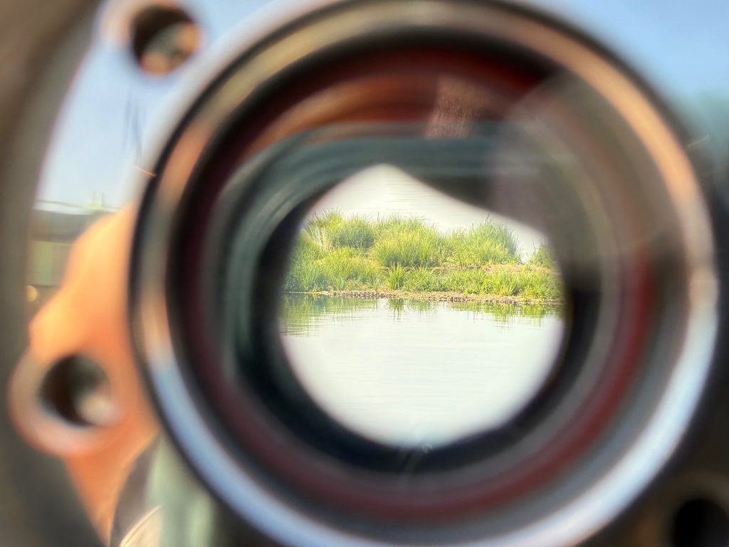 Fotografii: Răzvan Dinu / GreenCommunity