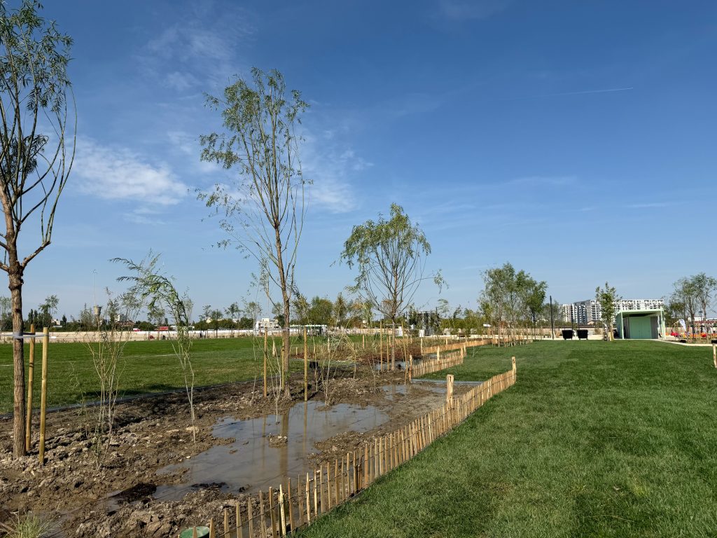 Fotografii: Răzvan Dinu / GreenCommunity