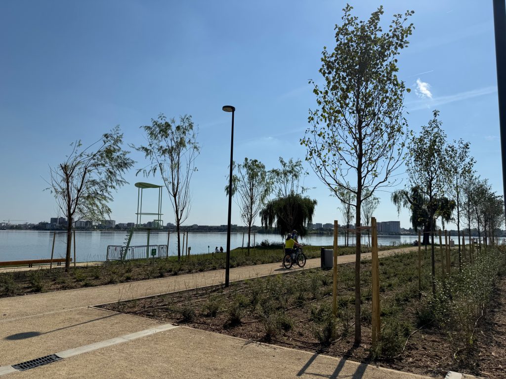 Fotografii: Răzvan Dinu / GreenCommunity