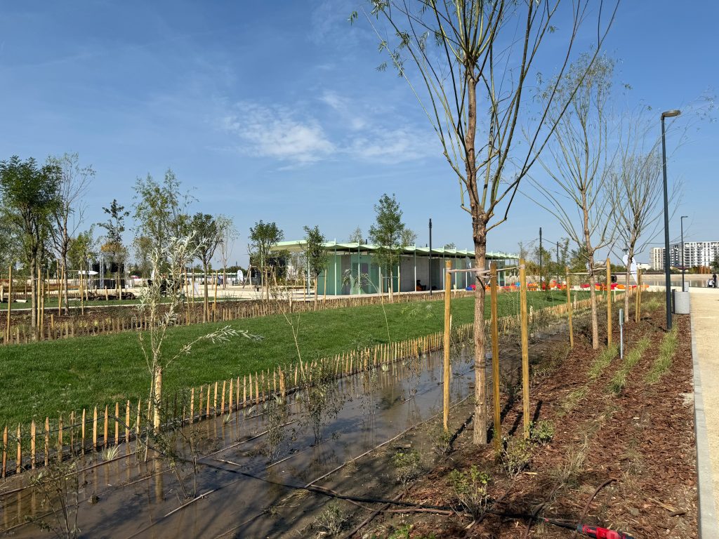 Fotografii: Răzvan Dinu / GreenCommunity